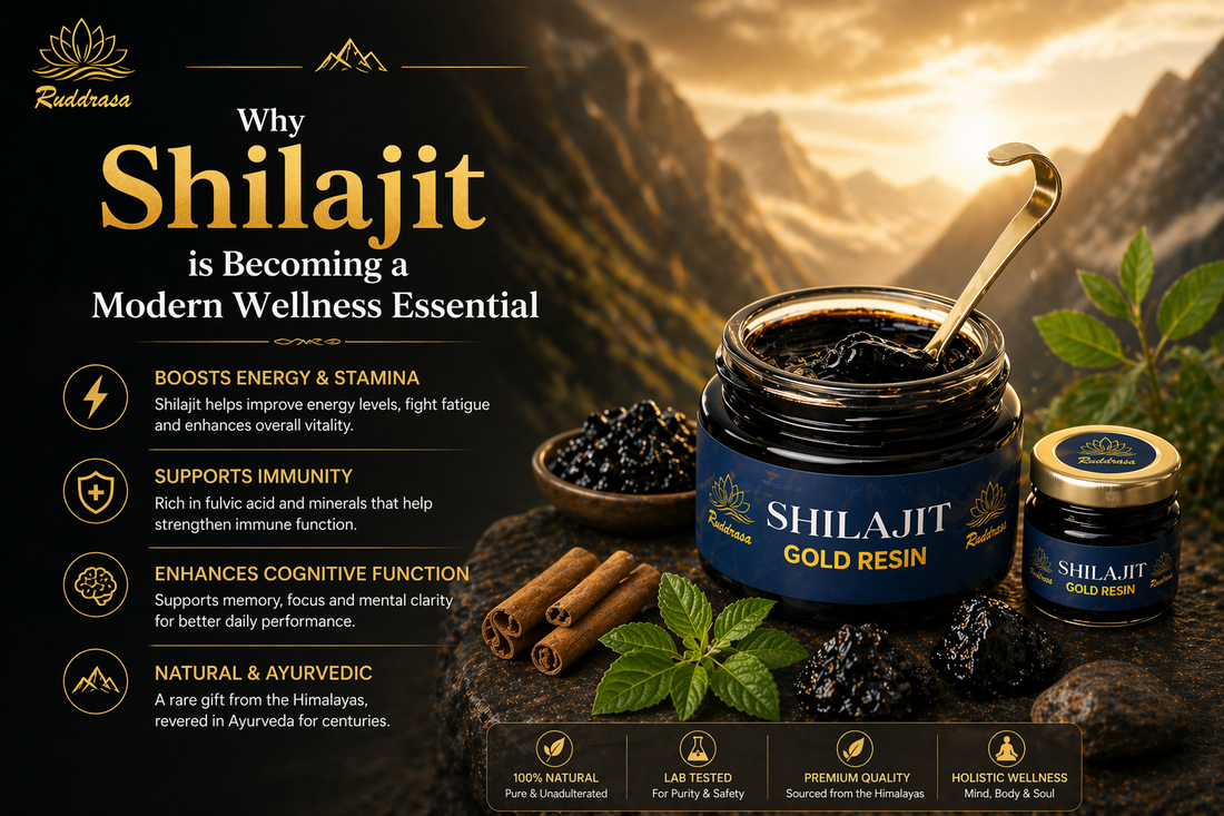 Why Shilajit is Becoming a Modern Wellness Essential