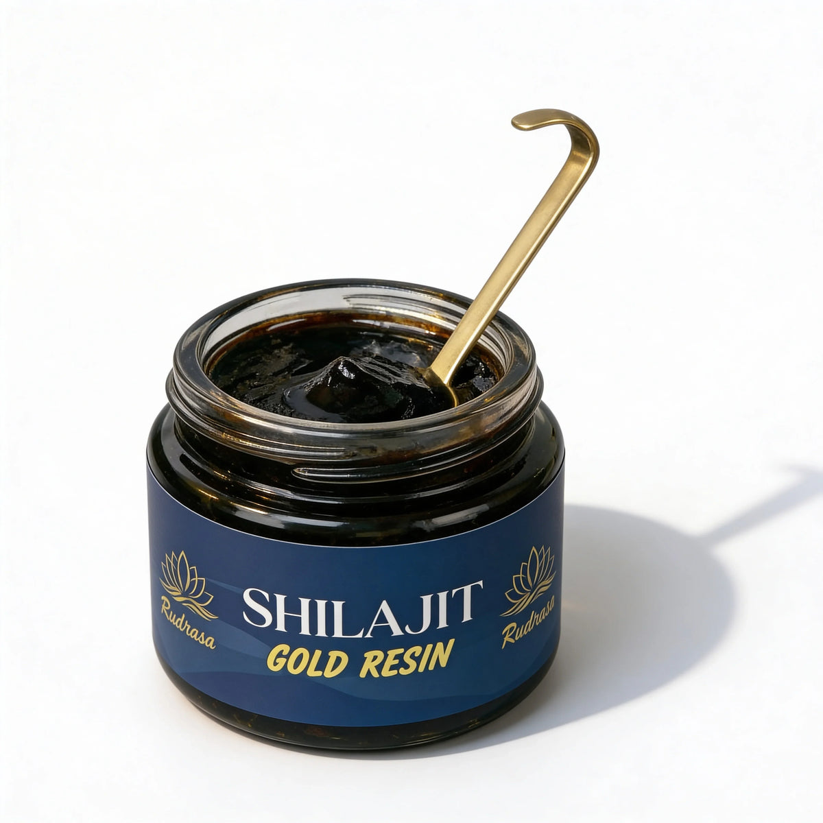 Ruddrasa Shilajit